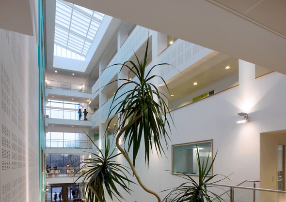 Main Atrium