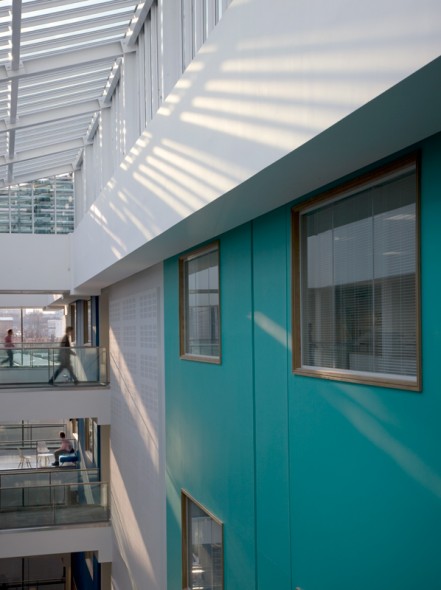 suspended walkways