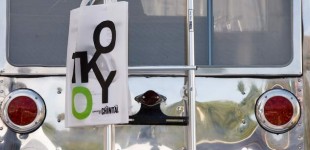 100% Design Tokyo logo designed by Micha Wiedman