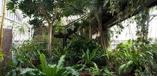 Barbican-6